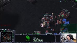 Чуи, Мы Дома! 숲