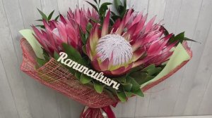 Букет из 5 королевских протей