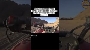 мармеладный медведь Валера