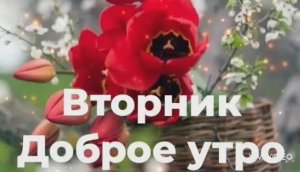 ДОБРОГО ВЕСЕННЕГО УТРА ВТОРНИКА