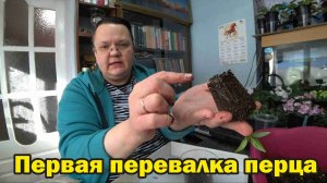 Перевалка перца по всем правилам