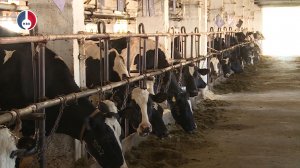 Свердловская область активно наращивает сельскохозяйственный потенциал