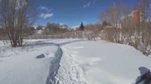 Фэтбайк зимой. Начало весны: поиски места для рыбалки