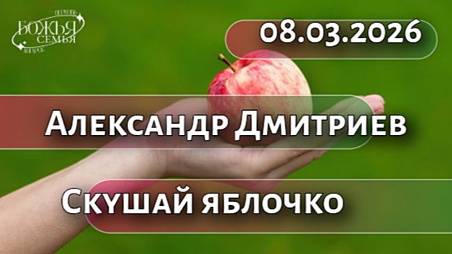 Александр Дмитриев  08.03.2026