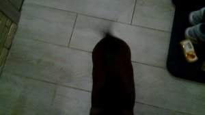 116 2019.01.28_17.24.56 Манька гулять не хочет.