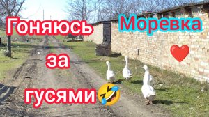 Подарки на 8 марта/Продаём ЧЁРНУЮ ПЛЕСЕНЬ/Мусорки в МОРЕВКЕ/Первоцветы