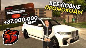 Новые промокоды на BLACK RUSSIA! Секретные промокоды на машины и деньги! Получил бмв!