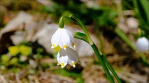 Роковая ошибка 11 марта. Категорически запрещено.