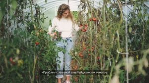 Азербайджанские товары уйдут из России Экспорт Азербайджана в РФ под ударом...