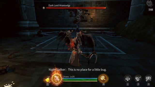 God Souls Прохождение №48 Imprisoned Soul Dark Lord Hraesvelgr