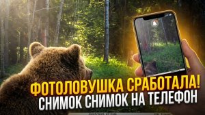 Фотоловушка UOVision изи мэйл 4G. Переходи на изи
