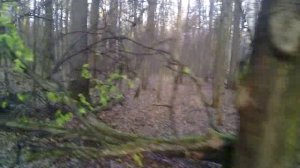 157 2019.11.15_09.34.22