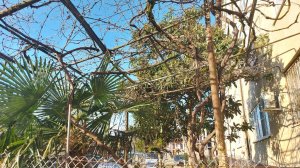 Абхазия сегодня