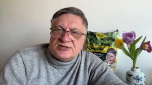 Почему плохо растет рассада?