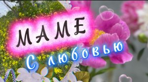 Маме с любовью, красивая песня для мамы