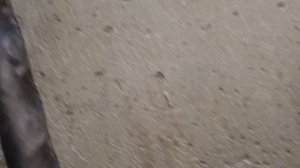 Ольхова.Чистка колодца Главный Образец Обслуживание колодца. Готовим колодец к паводку. podkapaev.ru