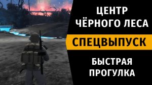 Центр Чёрного Леса. Быстрая Прогулка. Спецвыпуск №5. Stay Out | RU2