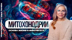 Как лечить старение? Всё дело в митохондриях