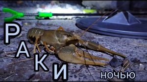 Если Ночью не Спится,что Делать???  Я делаю Так!!!