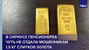 В Сириусе пенсионерка чуть не отдала мошенникам 1,5 кг слитков золота