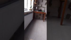 стрим на 75 пдп