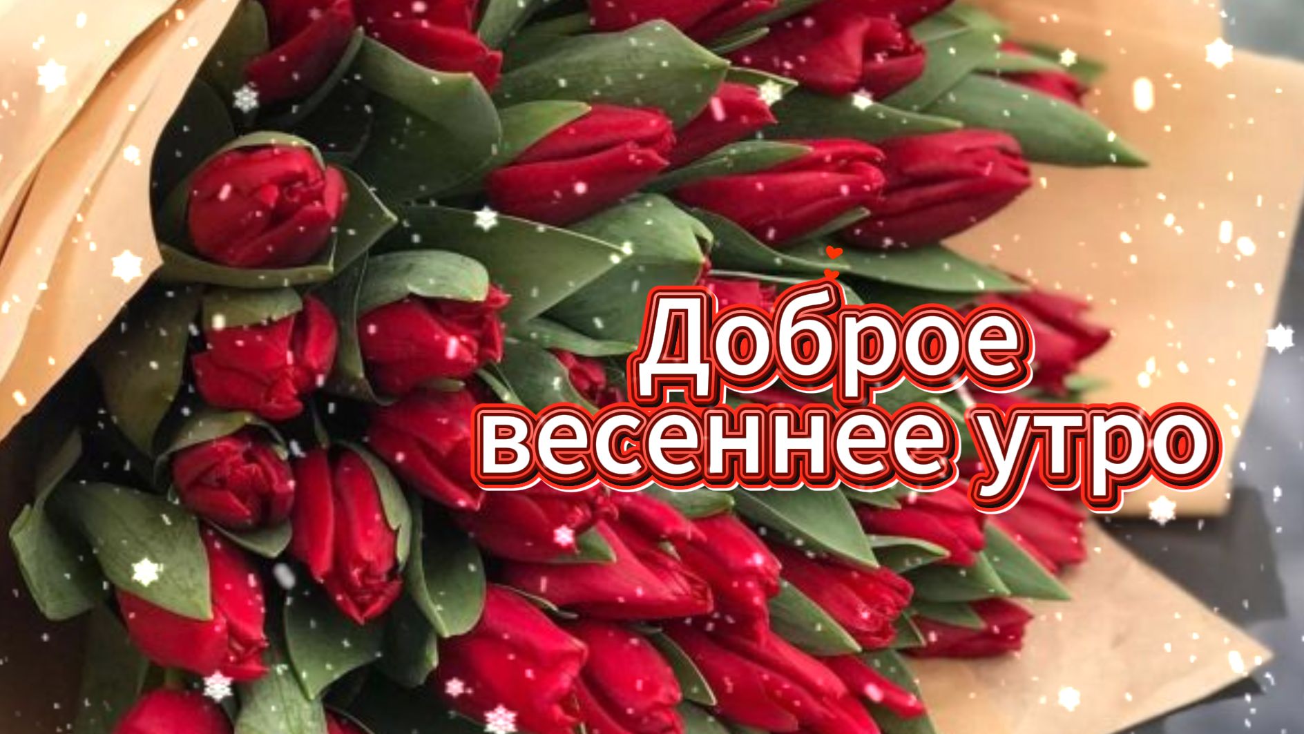 Доброе весеннее утро. Весеннего настроения.