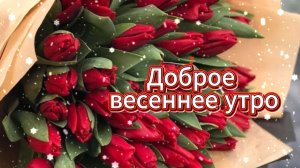 Доброе весеннее утро. Весеннего настроения.