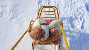 влог прогулка с реборном 🦭🌷