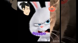 дʙᴀ дᴩуᴦᴀ 
чᴀᴄᴛь 7