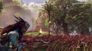 Horizon: Zero Dawn. Remastered №61 ЗАРАЖЁННАЯ ЗОНА. Коршуны и Падальщики