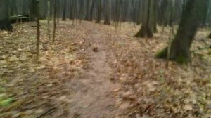 154 2019.11.10_12.35.21 Маня гуляет в парке и встречает друга.