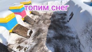 Подготовка пасеки к облёту пчёл. Пчеловодство Владимирской области.