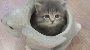 Смешно! Я первым занял это место!