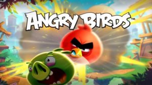 РОЛЬ / ЗЛЫЕ ПТИЦЫ