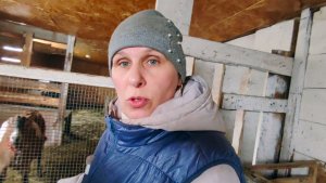 Вечером все спокойно было.... А утром НА ТЕБЕ!!!