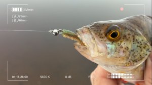 Такая снасть ловит сотни