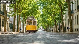 Portugal, Lisbon - Campo de Ourique 2026 Estrela Garden & Market Walk