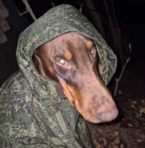 спасибо за просмотр