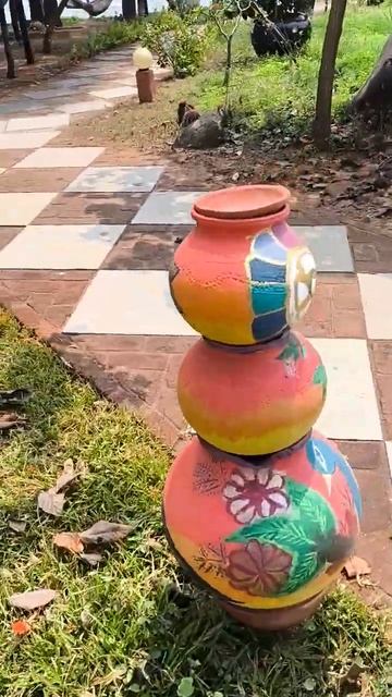 Цветы в Квайте, на побережье Индийского океана. Райский кусочек мира Индии.