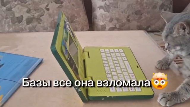 База.Кто её взломал?😺🤣