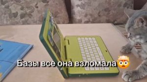 База.Кто её взломал?😺🤣