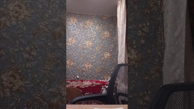 подписывайтесь