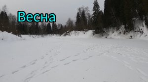 РЫБАЛКА НА КОСЫНКИ. ВЕСНА. РЫБА ЗАШЕВЕЛИЛАСЬ.