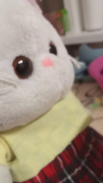 Мини вечер кошечки Лили