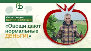 «Овощи дают нормальные деньги!»: Виктор Ретинский о том, сколько зарабатывает на картофеле и капусте