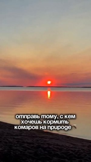 Клип @zatropheem