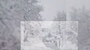 Николай Рубцов "Выпал снег".