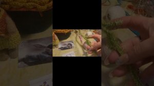 Итоговый мини отчет в марафоне Три повода сказать люблю💗