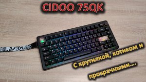 С котиком! Обзор клавиатуры CIDOO 75QK