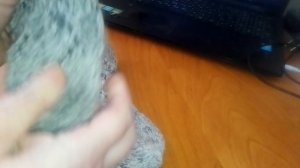 «Носочная коробочка с Катериной Шурм, 6 сезон», 2026 год отчёт за февраль